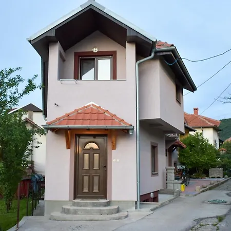 Jovana 소코 반자