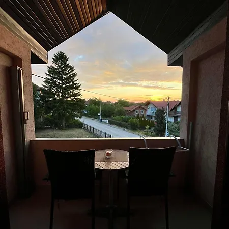 Jovana * 소코 반자